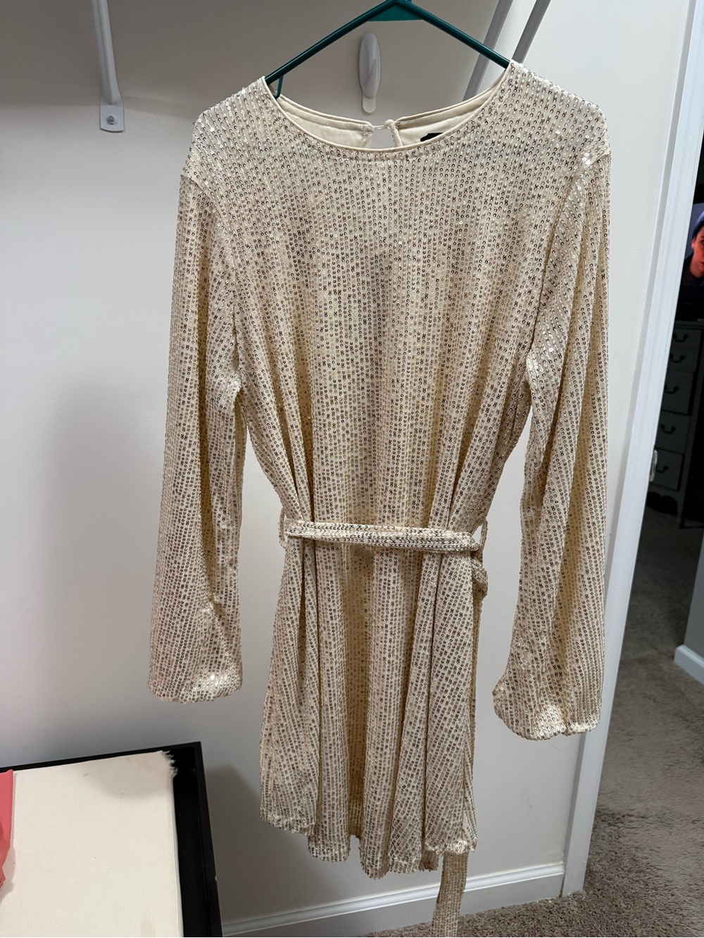 Sequin Long-Sleeve Mini Dress in Champagne